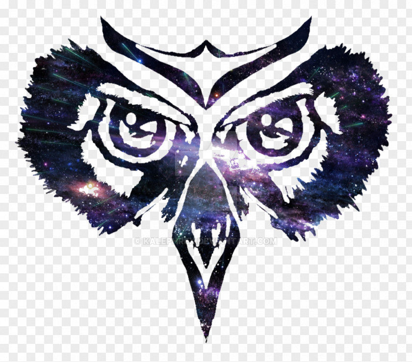 Owl Black-and-white Space Drawing Paper PNG