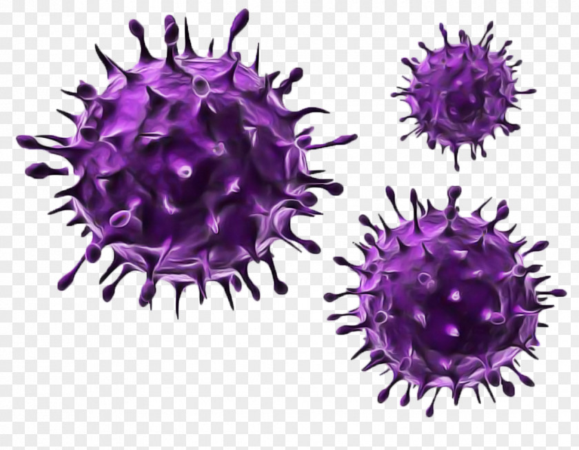 Virus Herpes Simplex Flu Coronavirus Health PNG