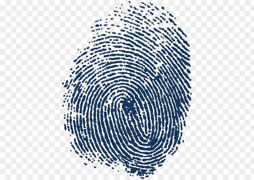 Fingerprints Automated Fingerprint Identification Spiral Adermatoglyphia PNG