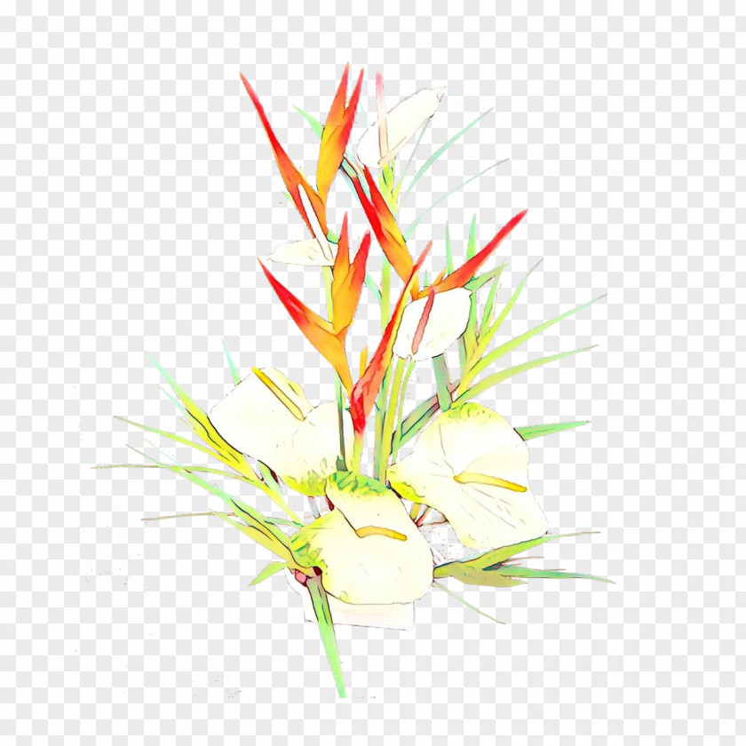 Floral Design Cut Flowers Plant Stem Leaf PNG