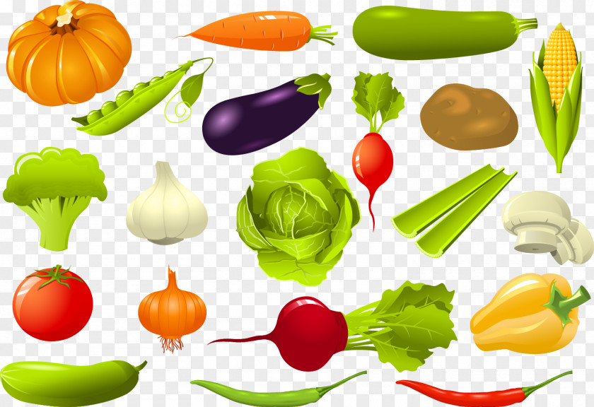 Map Vector Vegetables Leaf Vegetable Beetroot Clip Art PNG