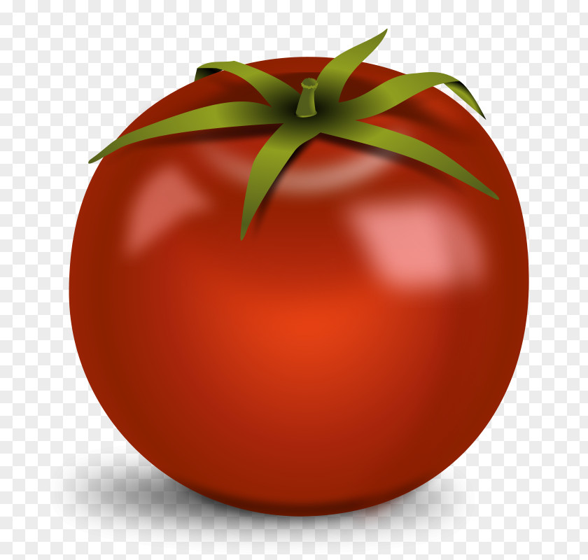 No Plants Cliparts Cherry Tomato Hamburger Clip Art PNG
