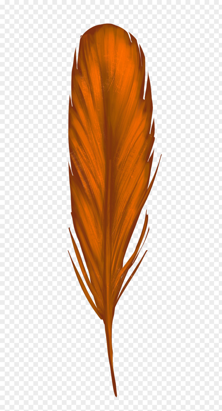Orange Feathers Leaf Petal PNG