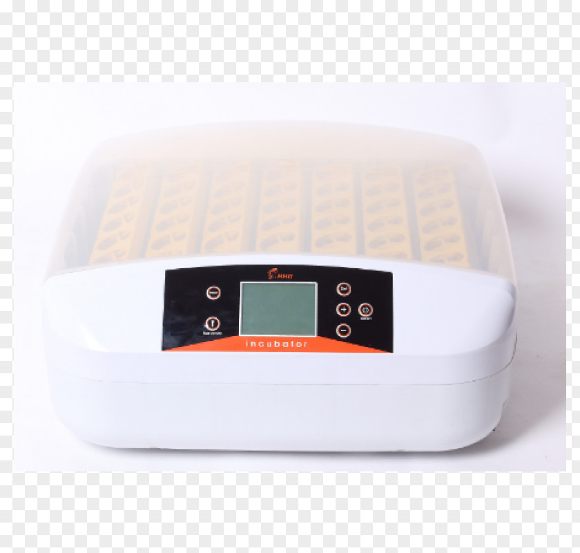 Egg Measuring Scales Couveuse Incubator Bird PNG