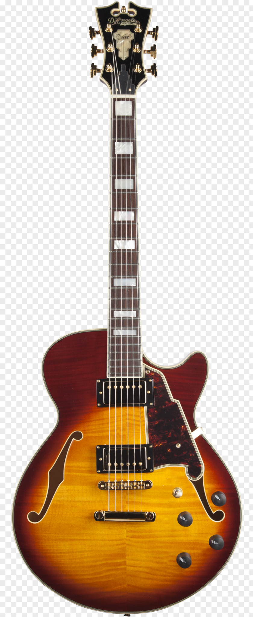 Electric Guitar Semi-acoustic D'Angelico Excel EXL-1 Guitars Stoptail Bridge Archtop PNG