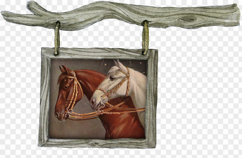 Horse Bridle Biology Science PNG