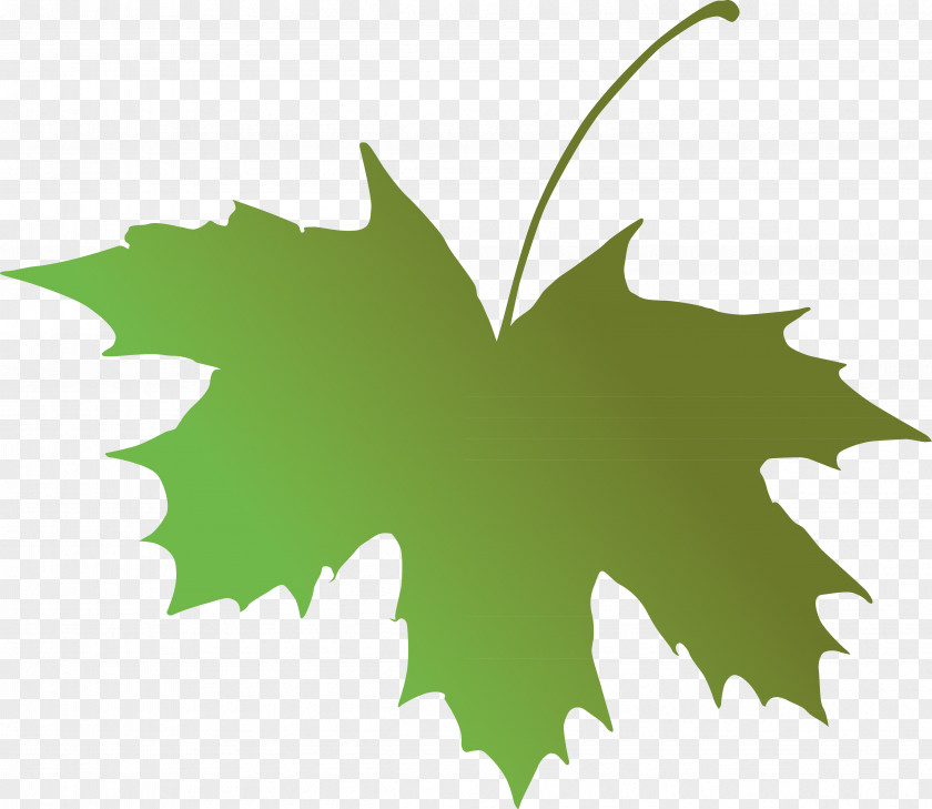 Leaf Maple Grape Leaves Green Tree PNG