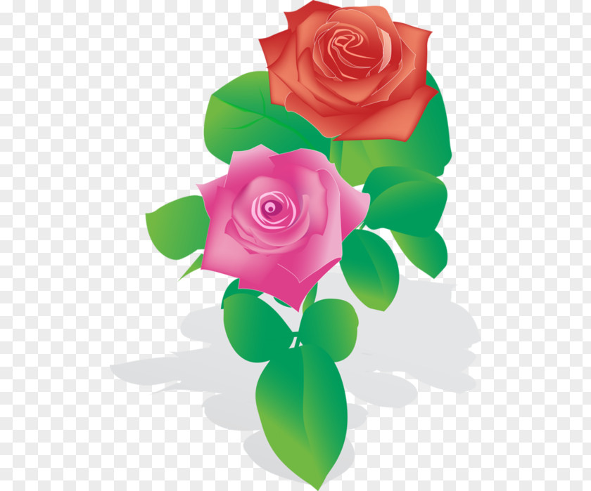 Rose Wind Flower Drawing PNG