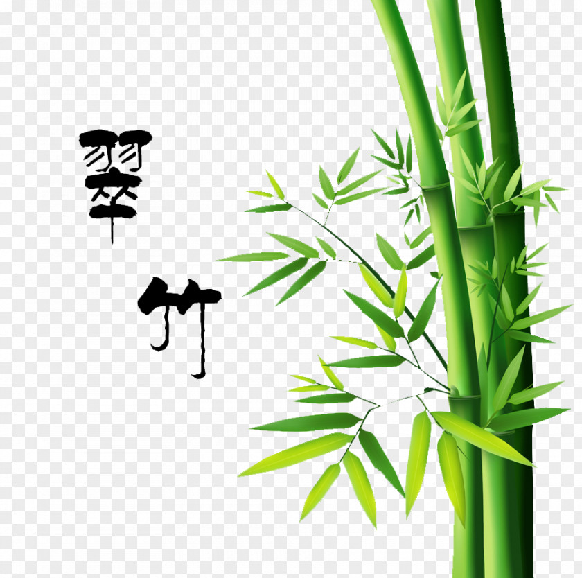 Bamboo Painting Drawing PNG