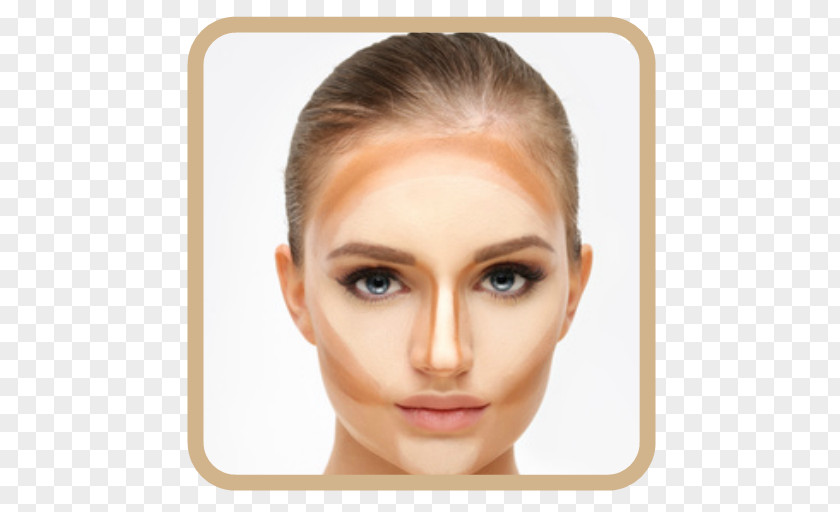 Face Cosmetics Contouring Cheek Make-up Artist PNG