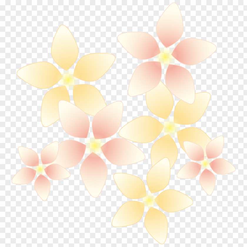 Pink Orange Flower. PNG