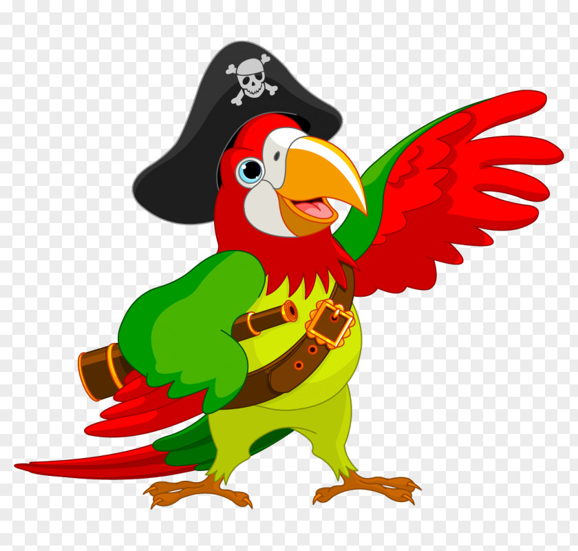 Pirate Parrot Piracy Jack Sparrow Clip Art PNG