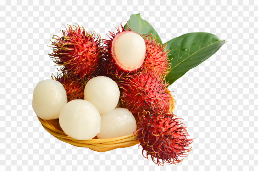 Red Fresh Hair Dan Rambutan Fruit Lychee PNG