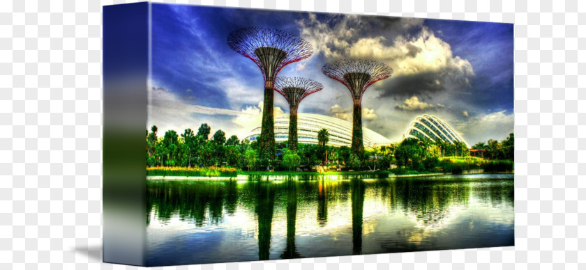 Singapore City Painting Energy Desktop Wallpaper Computer Tourism PNG