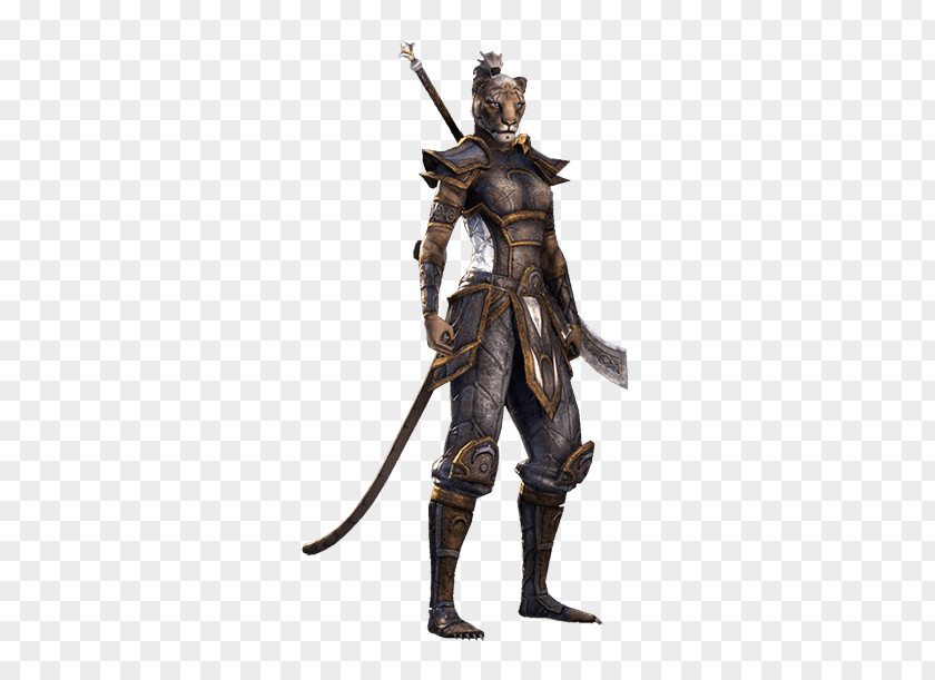 Armour The Elder Scrolls V: Skyrim Online: Tamriel Unlimited High Elf PNG