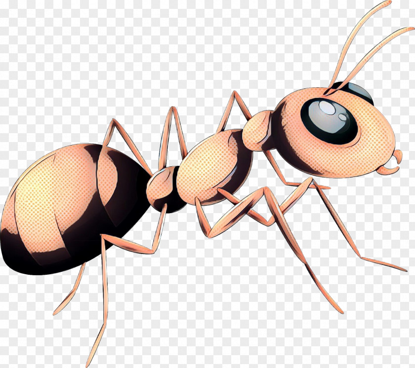 Blister Beetles Termite Retro Background PNG
