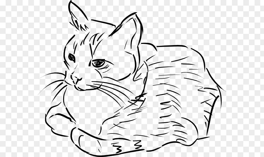 Cat Drawing Line Art Clip PNG
