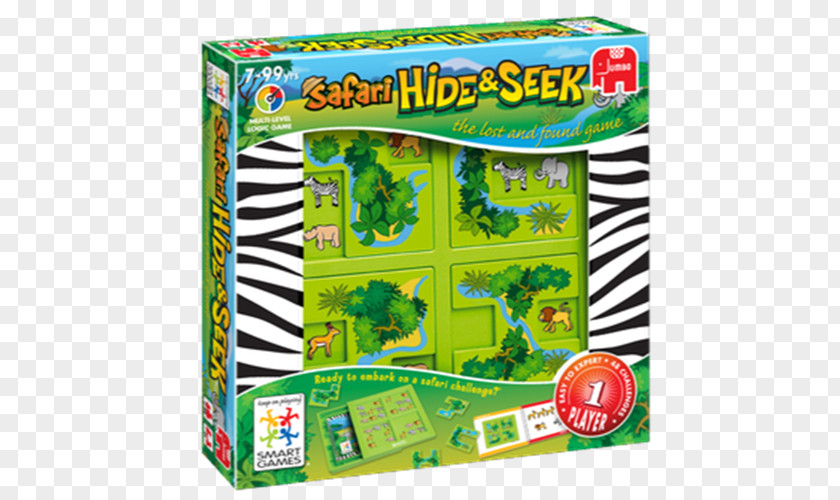 Hide And Seek Game Amazon.com Hide-and-seek Safari Child PNG