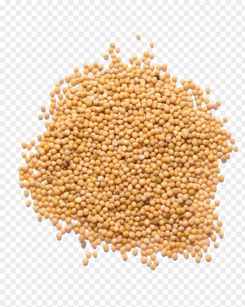 Sprouted Wheat Mustard Plant Seed White Oil PNG