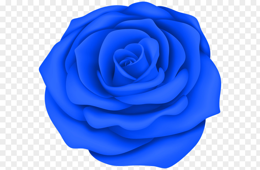 Blue Rose Desktop Wallpaper Clip Art PNG
