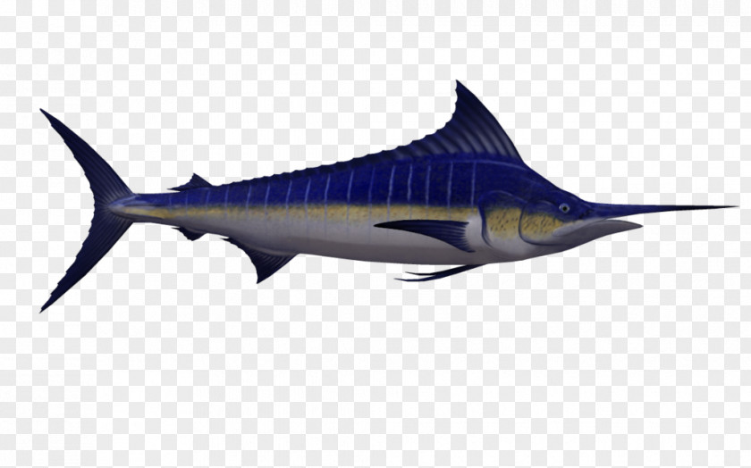 Fish Swordfish Marlin Fishing PNG