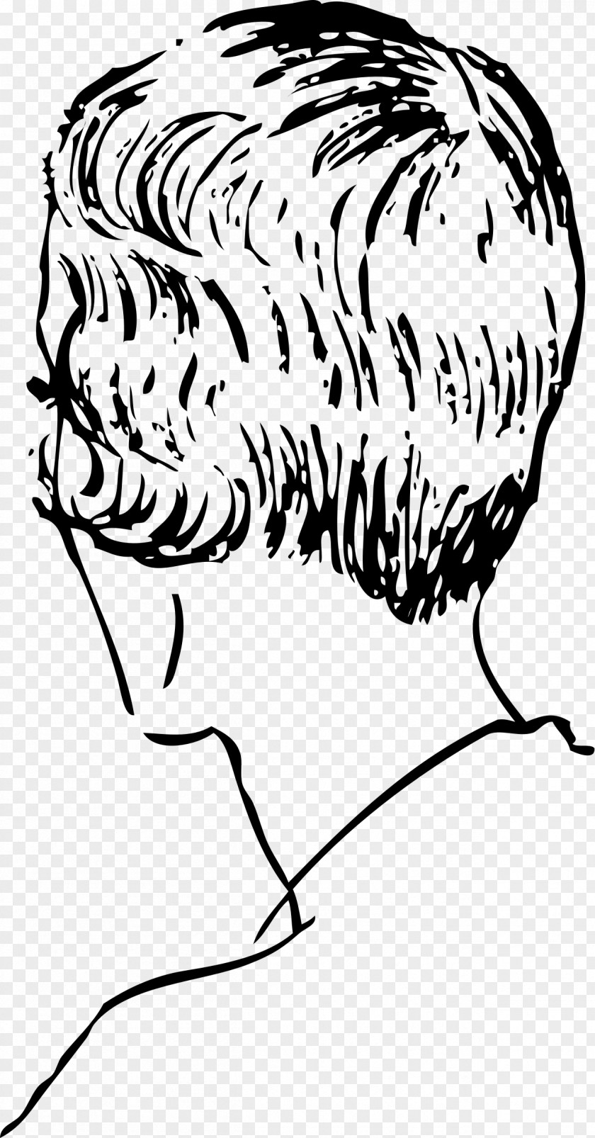 Hairstyles Drawing Boy Hairstyle Clip Art Free Content PNG