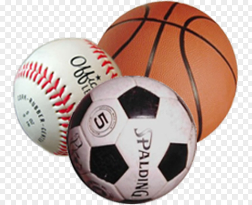 Physical Education Basketball Sport Ball Game NBA PNG