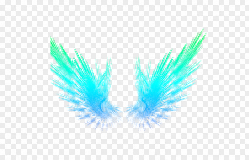 Feather Light Wing Wallpaper PNG