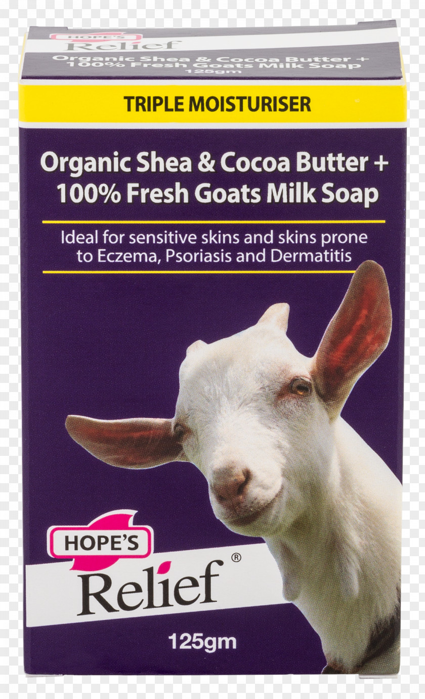 Goat Milk Cream Cheese PNG