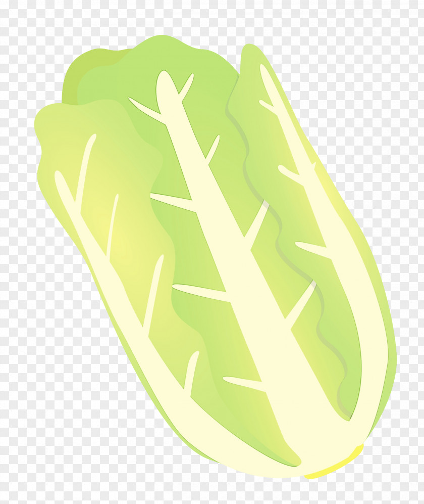 Green Leaf Yellow Vegetable Plant PNG