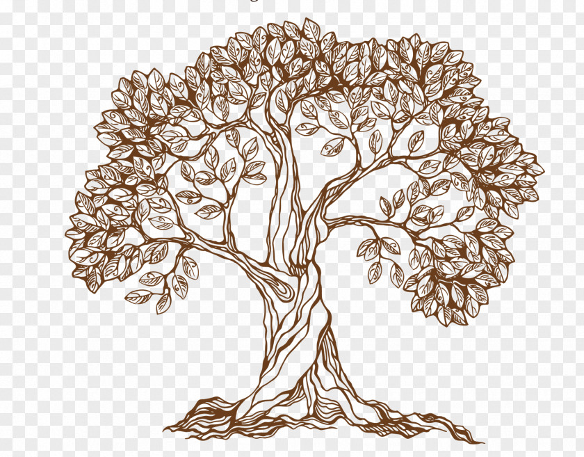 Hand Drawn Tree Drawing Royalty-free PNG