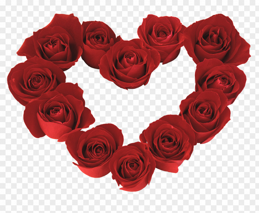 Rose Garden Roses Valentine's Day Heart Flower PNG