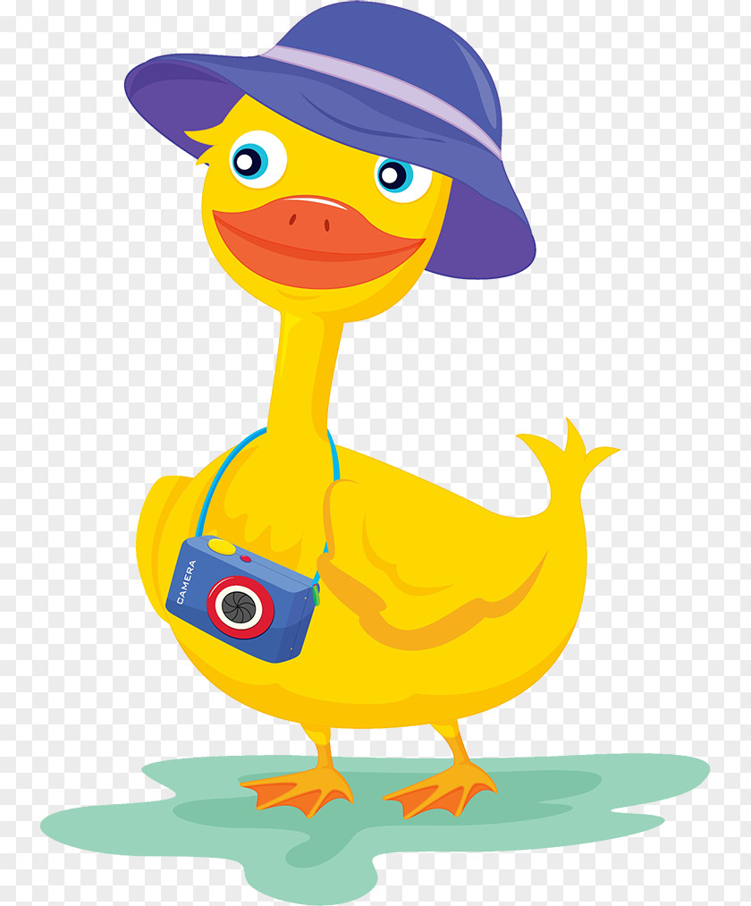 The Cartoon Image Of Blue Hat Tourists Duck Camera Photography Illustration PNG