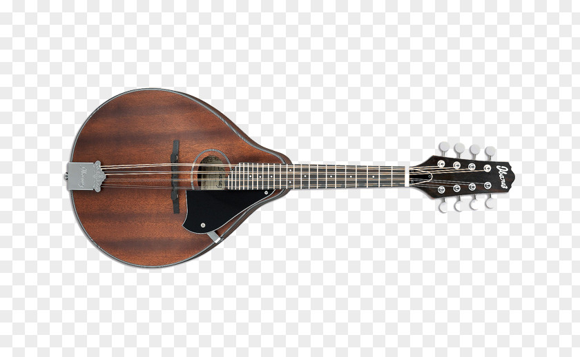 Acoustic Guitar Tiple Mandolin Ukulele Bass PNG