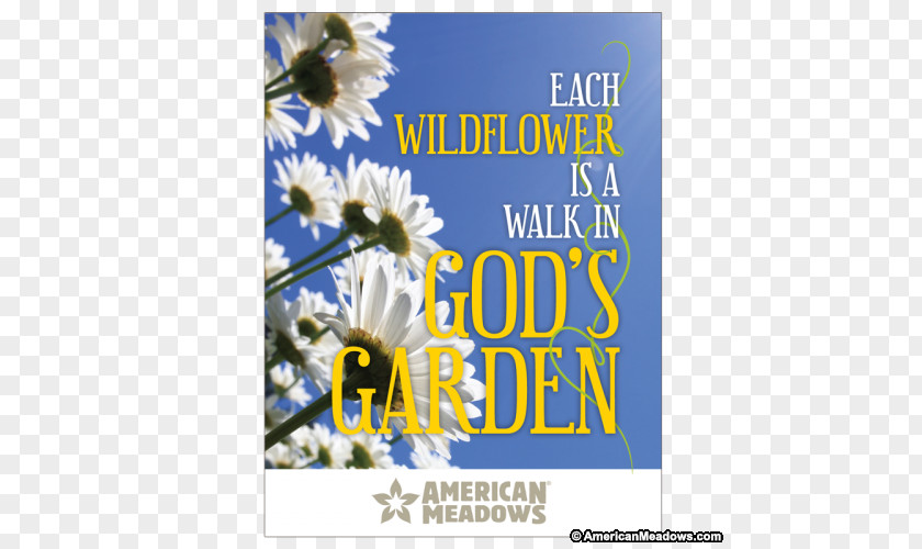 American Event Floral Design Seed Company Flower Butterfly Gardening PNG