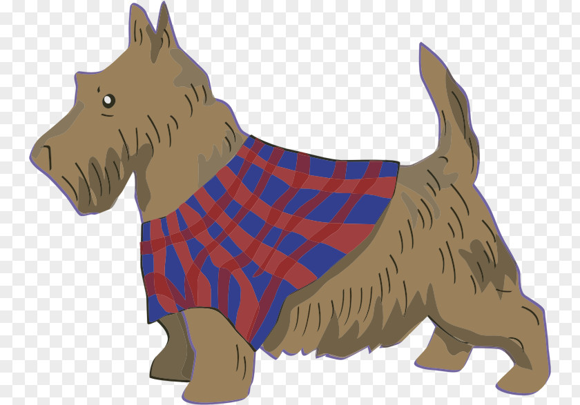 Cat Scottish Terrier Scotland Dog Breed PNG