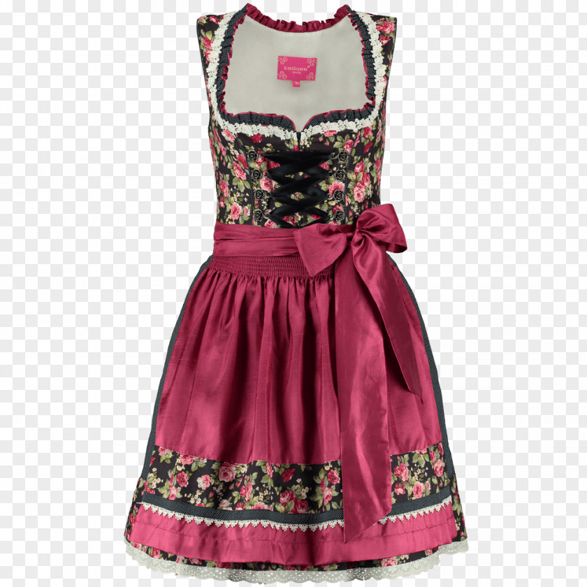 Dress Dirndl Folk Costume Cocktail Pink PNG