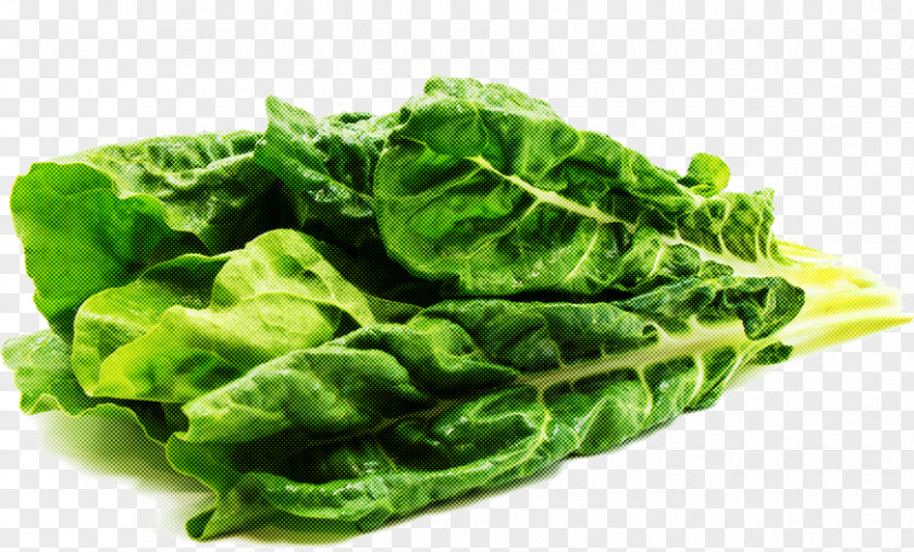 Lettuce Plant Leaf Vegetable Food Collard Greens Spinach PNG