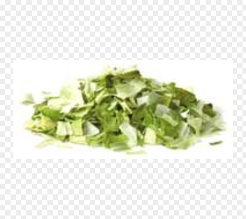 Vegetable Herb Spice Wholesale Garlic PNG