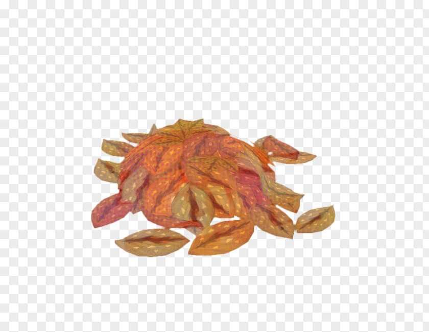 Plant Leaf PNG