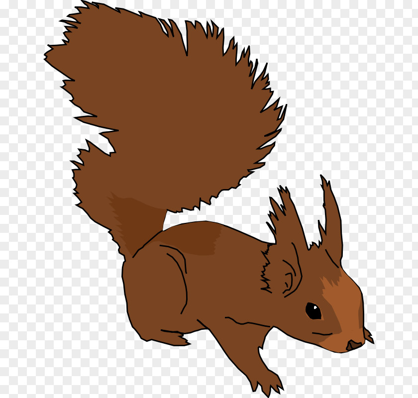 Squirrel Pic Free Content Clip Art PNG
