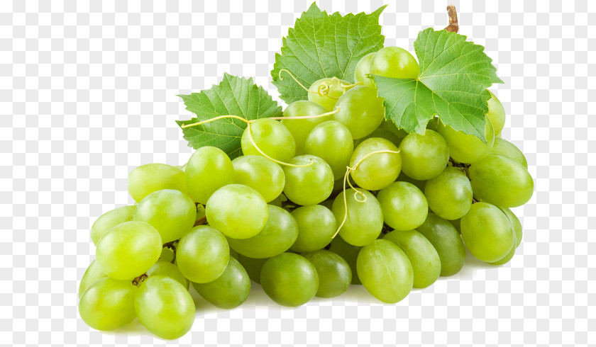 Wine Common Grape Vine Juice Concord PNG