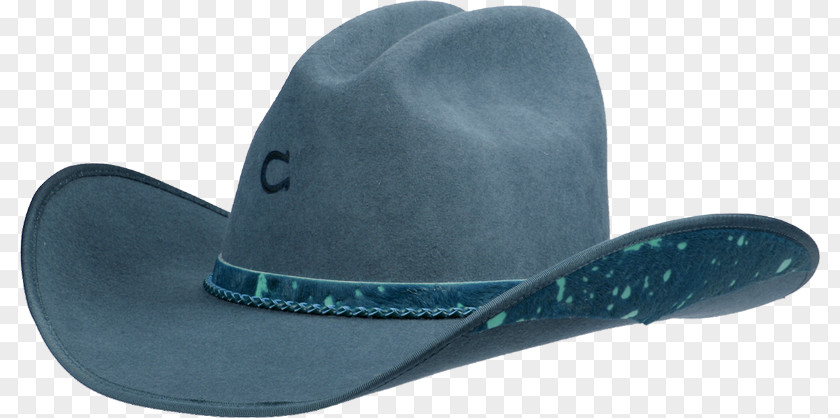 Hat Cowboy Cap Fedora PNG