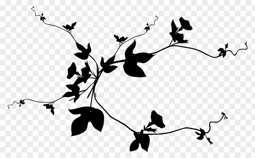 M Clip Art Illustration Plant Stem Leaf Black & White PNG