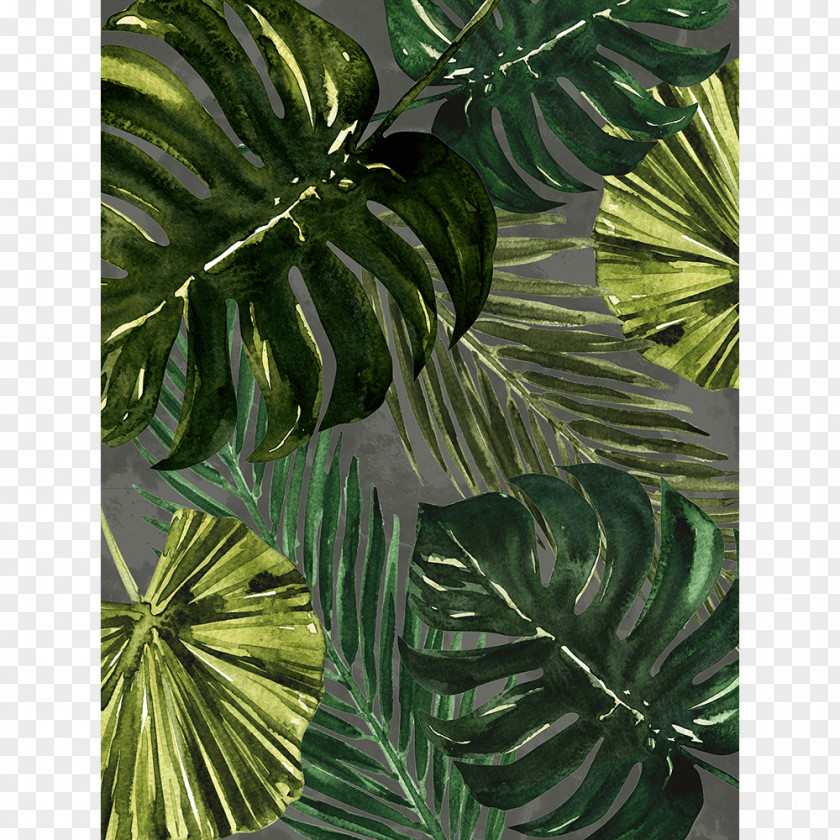 Monstera Art Picture Frames Printmaking Acrylic Paint Glass PNG