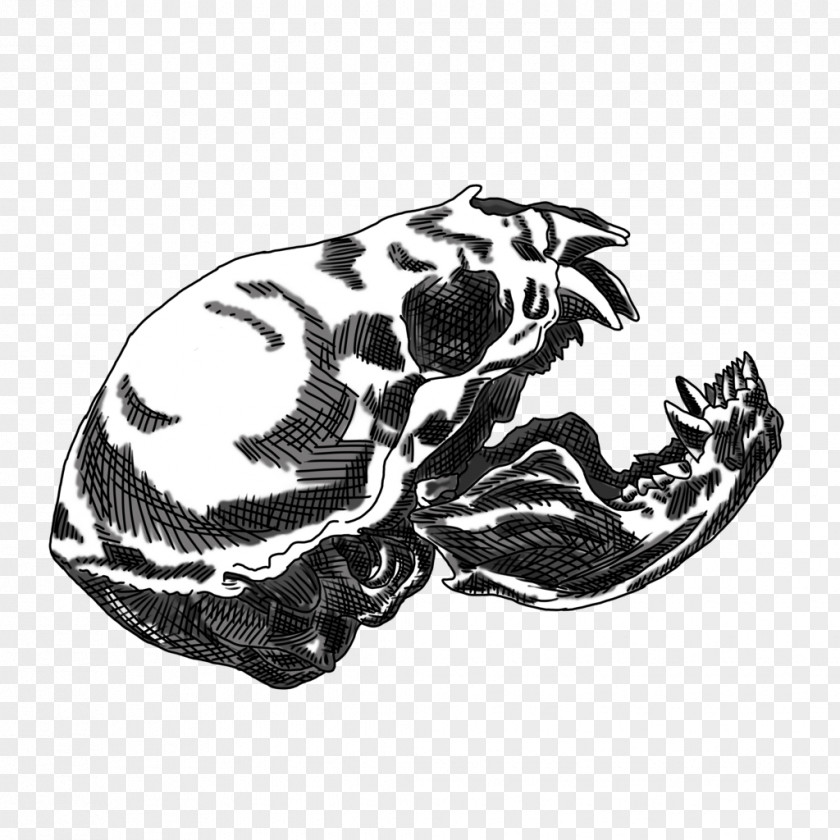 Bat Skull Drawing /m/02csf White Font PNG