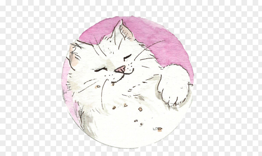 DON GATO Whiskers Domestic Short-haired Cat Paw PNG