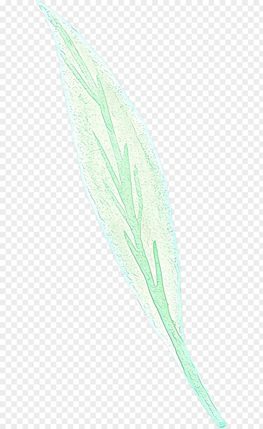 Flower Writing Implement Feather PNG