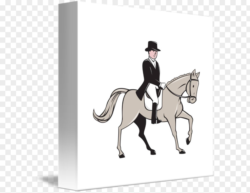 Horse Drawing Equestrian PNG