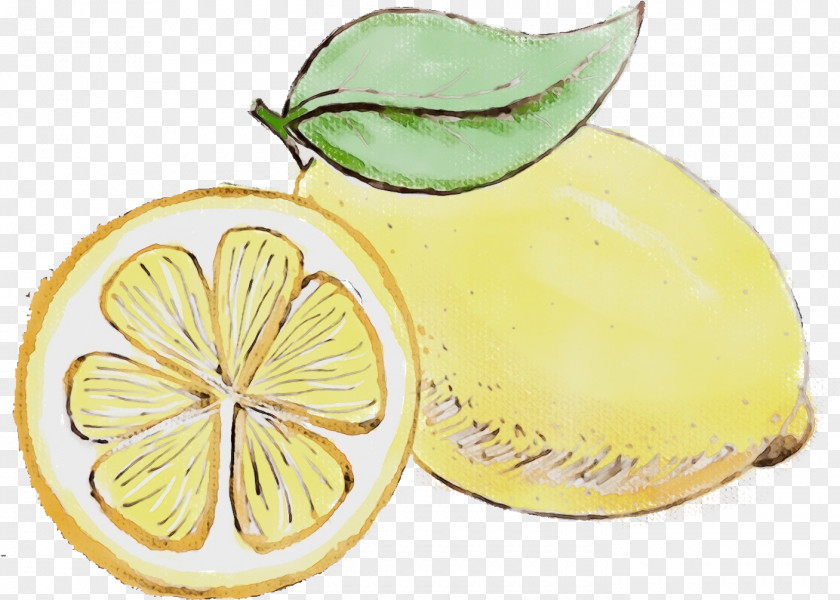 Lemonlime Plant Lemon Citrus Fruit Yellow Citron PNG